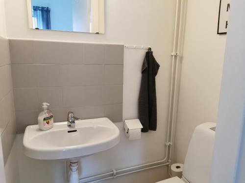 法尔雪平阿赫贝合旅馆的一间带水槽、卫生间和镜子的浴室