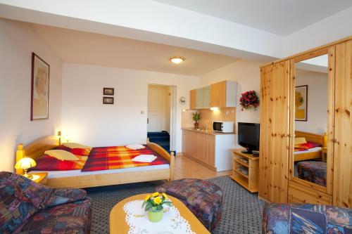 捷克布杰约维采麦诺尔膳食宾馆的酒店客房设有床和客厅。