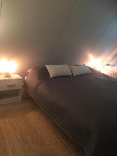 OlstGuesthouse "Cosmea"的一间卧室配有一张带两个灯的床