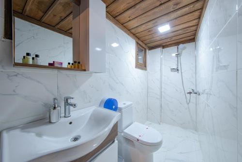 番红花城Gunes Konak Otel Safranbolu的一间带水槽、淋浴和卫生间的浴室