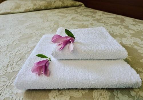 StopnicaHotel Mateo的床上的两条毛巾,上面有鲜花