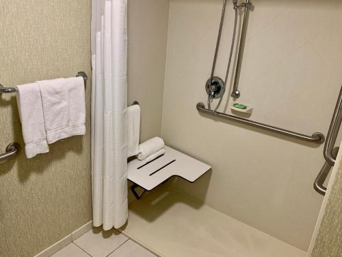 Holiday Inn & Suites Virginia Beach - North Beach, an IHG Hotel的一间浴室