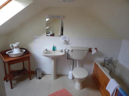 伦维尔The Olde Castle B&B的浴室配有盥洗盆、卫生间和浴缸。