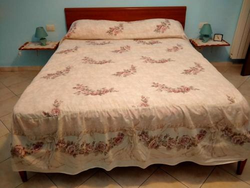 卡斯泰尔菲奥伦蒂诺Agriturismo I due Falcetti的一张带粉红色床罩的床上花卉床罩