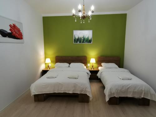久洛Ambient Deluxe Apartman的一间卧室设有两张床和绿色的墙壁