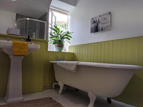 加夫Thistle Cottage, CrannachCottages的带浴缸和盥洗盆的浴室
