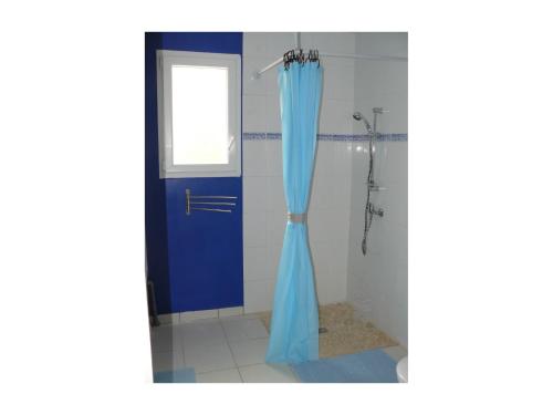 雅尔河畔圣万康彼岸完美旅馆的浴室内设有蓝色门淋浴