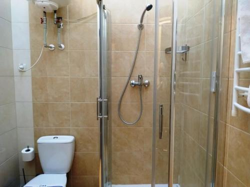 第聂伯罗Hotel Business Apartments的带淋浴和卫生间的浴室