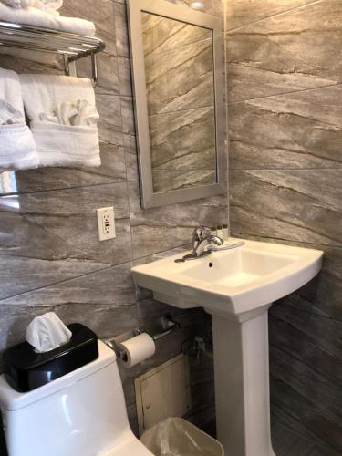 布鲁克林维伊普瑞斯@39号大街宾馆的一间带水槽、卫生间和镜子的浴室