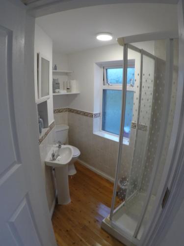 肯梅尔Grenane Heights Getaway的带淋浴、卫生间和盥洗盆的浴室