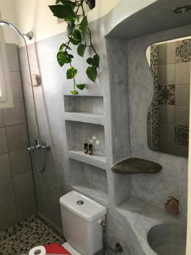 提诺斯Afrodite Hotel的浴室配有卫生间、淋浴和盥洗盆。