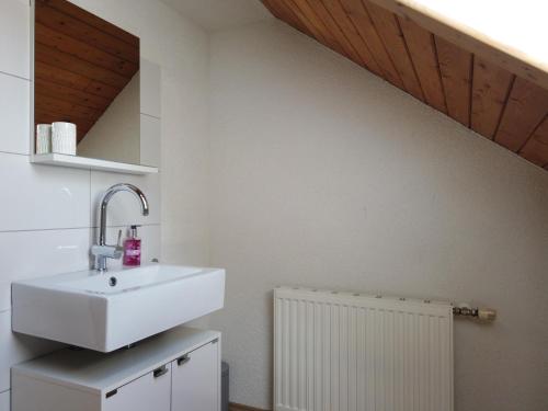 米尔茨楚施拉格Ferienhaus Oma Hase的浴室配有白色水槽和白色散热器