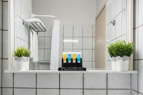 罗希姆诺巴斯克奥斯酒店的浴室里的一个架子,有两盆植物