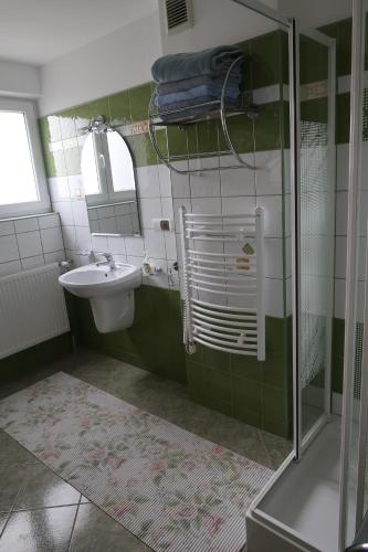 恰萨纳格拉Apartamenty- Mieszkania Wakacyjne的一间带玻璃淋浴和水槽的浴室