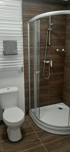 耶莱尼亚古拉Dworek pod świerkami的一间带卫生间和玻璃淋浴间的浴室