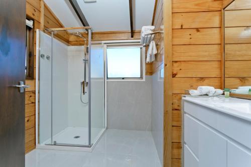 奥克兰波伊纳莫酒店的带淋浴的浴室和玻璃门