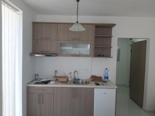 大格拉迪什泰Apartman Nikolic的一个带木制橱柜和水槽的厨房