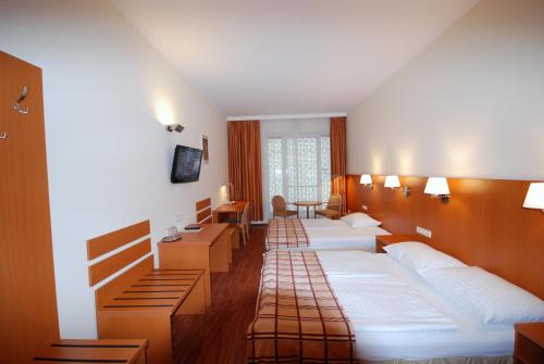 维也纳欧陆膳食酒店的酒店客房设有四张床和书桌