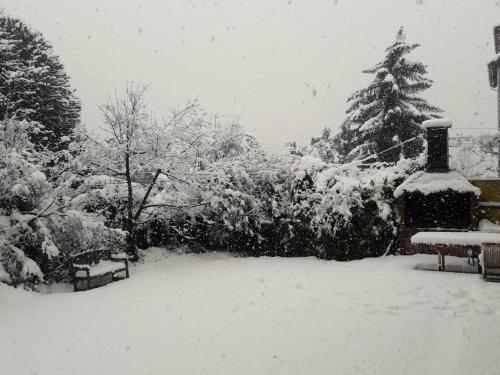 圣卡洛斯-德巴里洛切佩里科青年旅舍的雪覆盖的院子,有两把长椅和一棵树