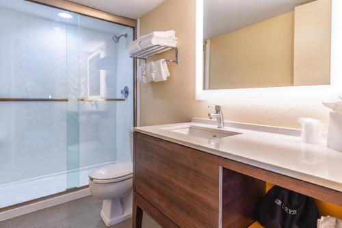 迈阿密迈阿密国际机场假日酒店的一间带水槽、卫生间和淋浴的浴室