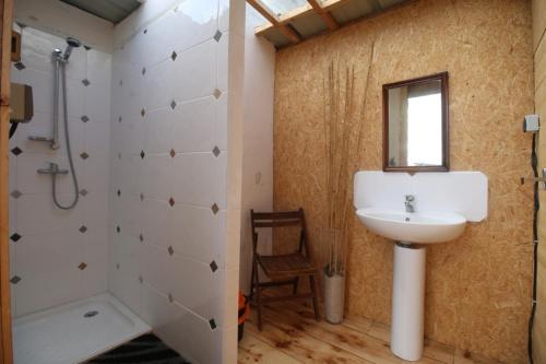 Noyal-Muzillaccamping chez l'habitant的一间带水槽、淋浴和镜子的浴室
