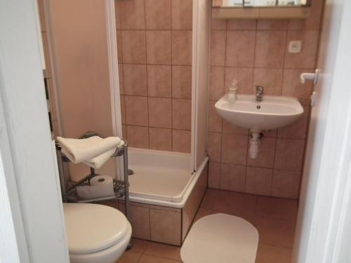 新托梅希尔Agroturystyka Różanka的浴室配有卫生间、淋浴和盥洗盆。