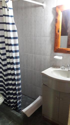圣卡洛斯-德巴里洛切El Aguila的一间带水槽和淋浴帘的浴室