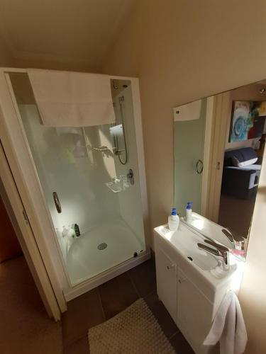 格雷默斯现代BNB单元住宿加早餐旅馆（含WiFi和早餐）的带淋浴和盥洗盆的浴室