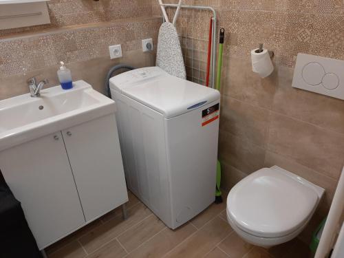布拉迪斯拉发Apartment Cherry Bratislava & Free Parking的浴室配有白色卫生间和盥洗盆。