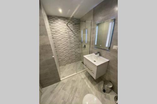 布拉戈耶夫格勒LUX 1BD/1BA City Center Apartment的浴室配有白色水槽和淋浴。