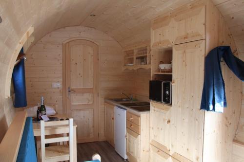 Dompierre-sur-MontL'Insolite Jurassienne的小木屋内的厨房配有水槽和微波炉