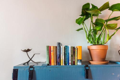 PerÅ‘csÃ©nyPuckó的书架和盆栽植物