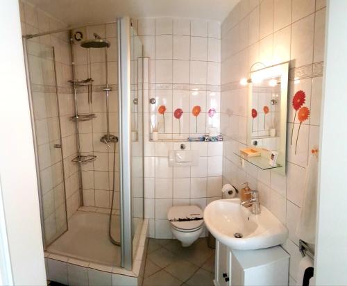 阿尔肯Zum Bachhexje的带淋浴、卫生间和盥洗盆的浴室
