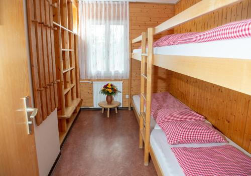 伦策海德艾尔乐巴奇尔豪斯旅舍的客房设有两张双层床和一扇窗户。
