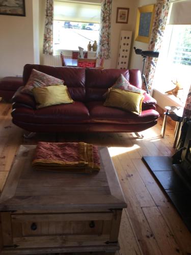 邓法纳希Hornhead Mews, Hornhead的客厅里配有棕色皮沙发及咖啡桌