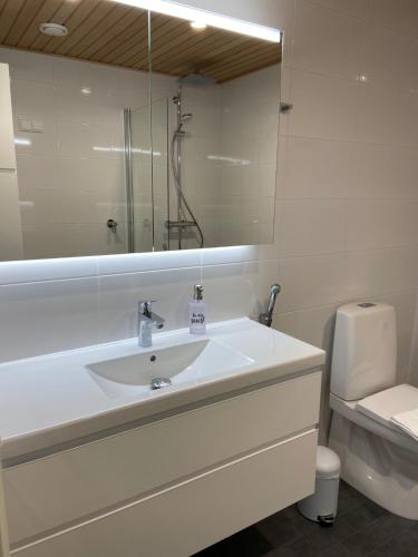 图尔库Parvekkeellinen yksiö keskustassa的白色的浴室设有水槽和卫生间。