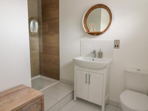 拉尼德洛伊斯Hazel Lodge的一间带水槽、卫生间和镜子的浴室