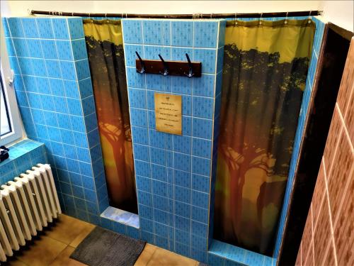 普斯特文尼Chata Šumná的浴室设有蓝色瓷砖淋浴和窗帘