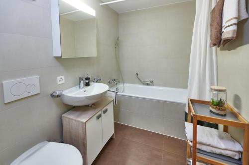 莱迪亚布勒雷Magnifique appartement aux Diablerets avec vue imprenable的浴室配有盥洗盆、卫生间和浴缸。