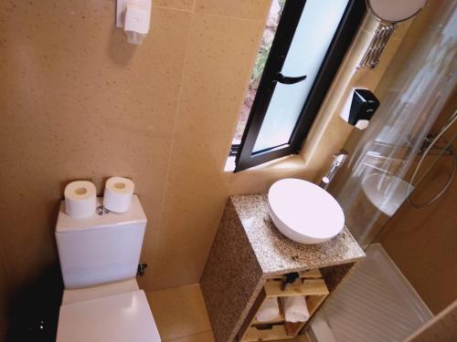 蒙塔莱格里Ninho da Avó Selvagem的一间带卫生间、水槽和窗户的浴室