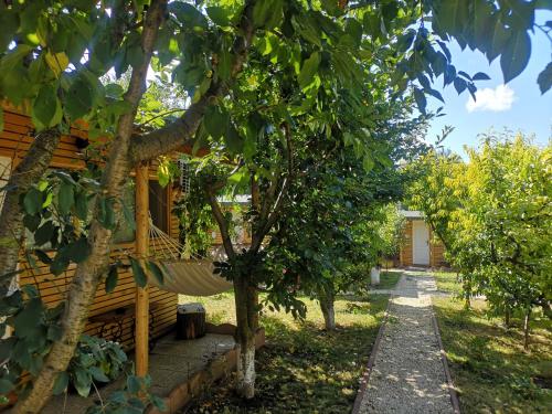 康斯坦察Relax Eaza - Casa cu Hamac的院子里带吊床的树屋