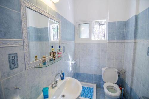 瓦西Amalia Sea View house的一间带水槽、卫生间和镜子的浴室