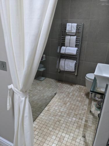 EccleshallThe Dorm Bed and Breakfast的带淋浴帘和卫生间的浴室