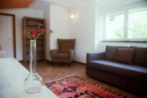 PlešceRiverside garden apartment Three Springs Tri Zvira的客厅里带花的花瓶