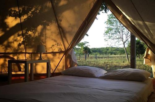 卡沃罗霍Pitahaya Glamping的田野景帐篷内的一张床位