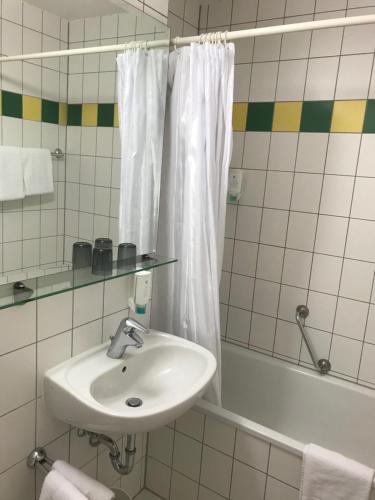 慕尼黑安比恩特甘尼酒店的一间带水槽和淋浴帘的浴室