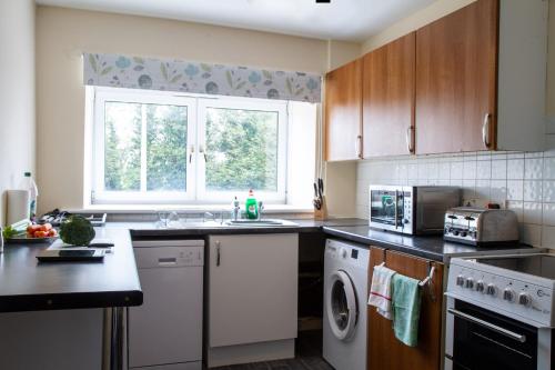 KinghornCarvetii - Borthwick House - Ground floor flat的一个带水槽和洗碗机的厨房