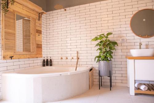 兹奇隆亚科夫Zimeroni的带浴缸和盆栽的浴室