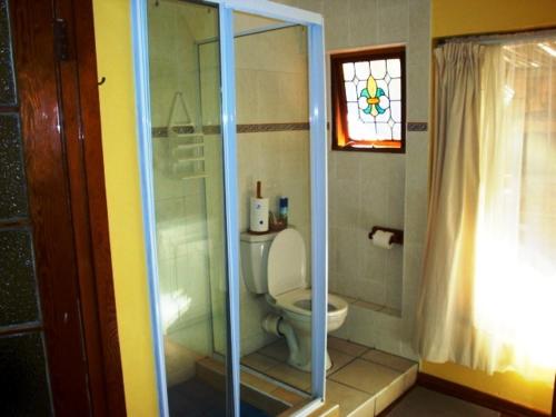 德班弗林特斯通杜班旅馆的一间带卫生间和玻璃淋浴间的浴室