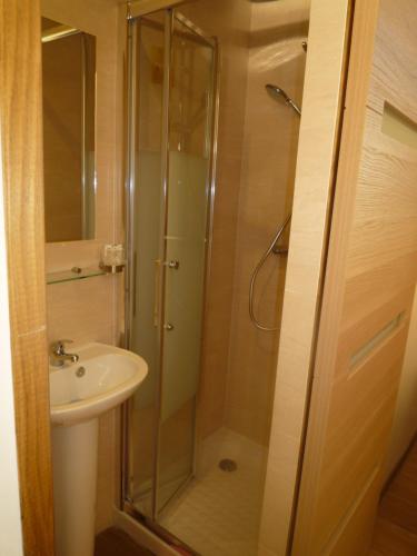 尼斯亚度尼斯公寓式酒店的带淋浴和盥洗盆的浴室
